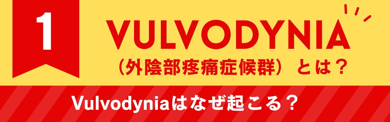 Vulvodynia（外陰部疼痛症候群）とは
